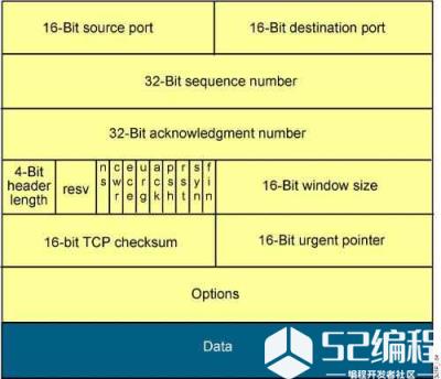 tcp报头