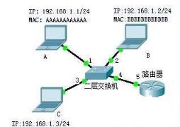 arp协议