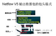 带你认识分布式交换机中的NetFlow_HSRP_Voip_思科认证_编程学习网