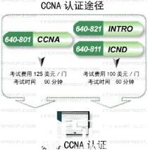带你认识CCNA认证考试升级道路_CCNA认证_思科认证_VUE_编程学习网