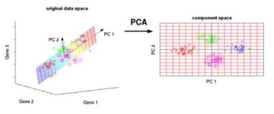 PCA 的一些应用包括压缩、简化数据便于学习、可视化等。